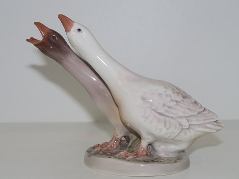 Dahl Jensen figurine
Two geese