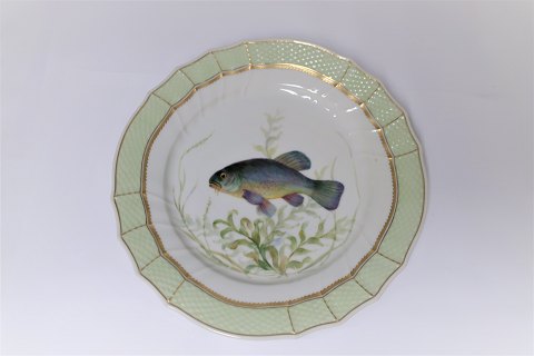Royal Copenhagen. Fish plate with green border. Model 919/1710. Tinca vulgaris