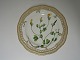 Royal Copenhagen
 Flora Danica Plate
 # 3553