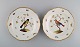 Two antique Meissen plates in hand-painted porcelain with birds, flowers, 
insects and gold decoration. 19th century.
