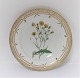 Royal Copenhagen Flora Danica. Dinner plate. Design # 3549. Diameter 25 cm. (1 
quality). Crepis tectorum L
