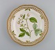 Royal Copenhagen Flora Danica middagstallerken i gennembrudt porcelæn med 
håndmalede blomster og gulddekoration. Modelnummer 20/3553.  
