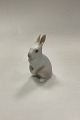 Danam Antik 
presents: 
Bing and 
Grondahl 
Figurine Rabbit 
Standing No. 
2443