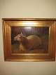 Tage Henriksen Antikviteter præsenterer: Carlo Dalgas. Et liggende får. Mål 28 x 33 cm. Ligende afbilled i ...