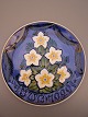 vare nr:
10560