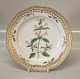 Klosterkælderen præsenterer: Kongelig Dansk Porcelæn Flora Danica20-3554 Galeopsis Ochroleuca Lauv.Fad til ...