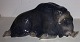 Royal Copenhagen Moskusokse Figur #1443. Måler 9cm x 13cm og er i god stand.