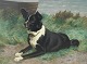 Klosterkælderen præsenterer: Portugisisk Vandhund? Sort hund med hvid blis "Monoarch" Simon Simonsen Hundemaleri