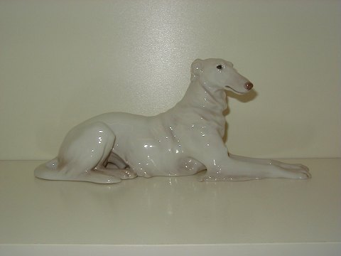 item no: 16916