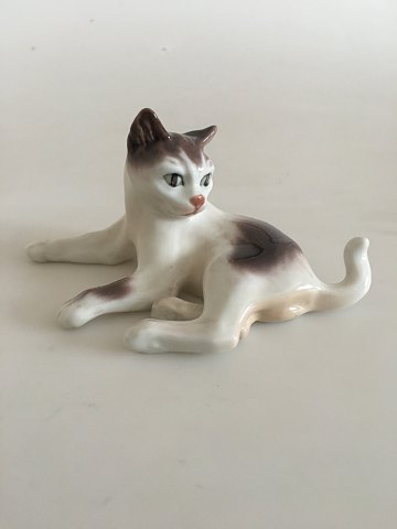 item no: 190664