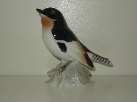 item no: 20211