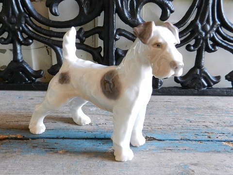 item no: 215878