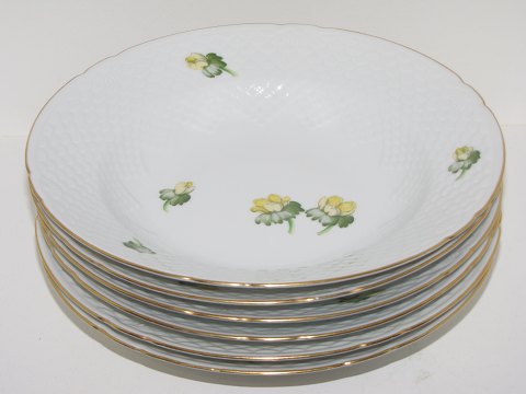 Aconite
Large soup plate 24 cm.