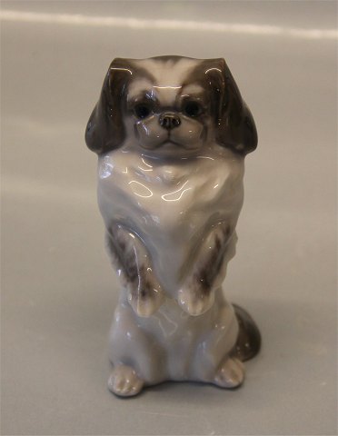 Grey Royal Copenhagen figurine 1776 - 1452 Standing Peke 12 cm. Designed Peter 
Herold 1916 
