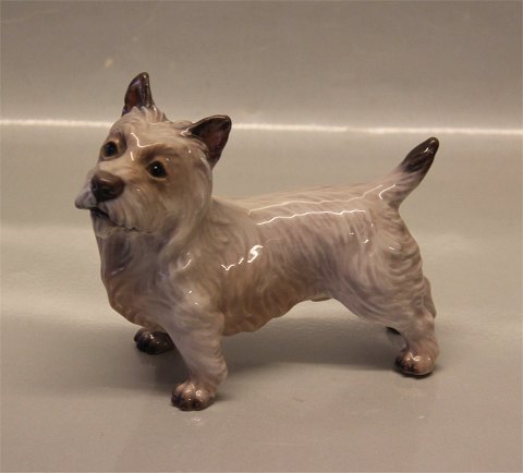 Dahl Jensen 1149 Cairn Terrier (DJ) 14.8 cm Lys version - sjælden