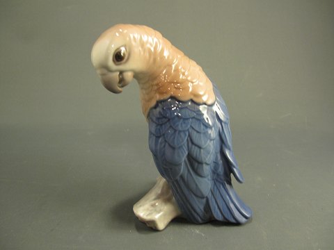 item no: 259906