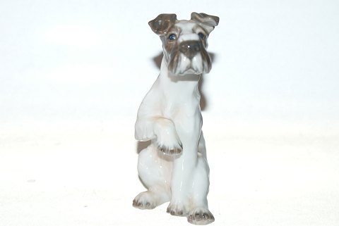 Dahl Jensen figurine Wirehaired Fox Terrier