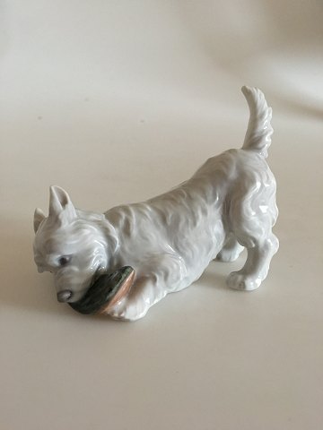 Royal Copenhagen Figur af Hund med Sutsko (terrier) No 3476