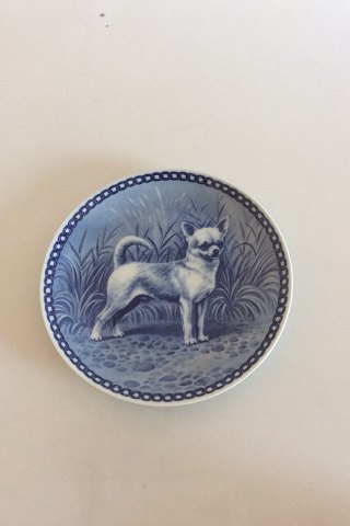 Tove Svendsen Original Hundeplatte Danmark Korthåret Chihuahua, Kurzhaarig 
Chihuahua, Smooth Chihuahua