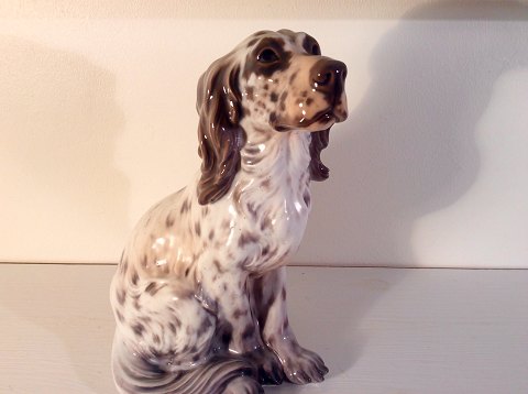 Dahl Jensen
Engelsk Setter
#1186
*1800kr