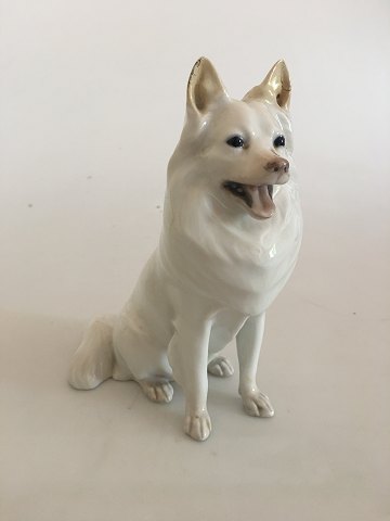 Royal Copenhagen Figurine af  Hvid German Spitz No. 977