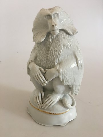 item no: 304021