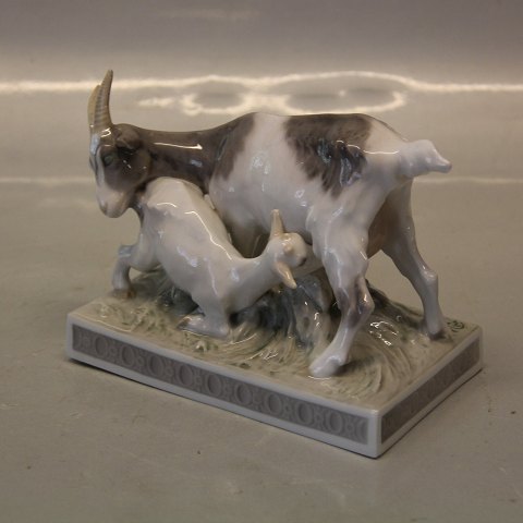 Royal Copenhagen  0665 RC Goat & kid Christian Thomsen 1905 12 x 16 cm