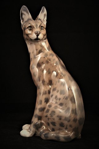 Sjælden porcelæns figur af en Serval fra Dahl Jensen - Danmark. ( DJ ) 
Højde:25,5cm.