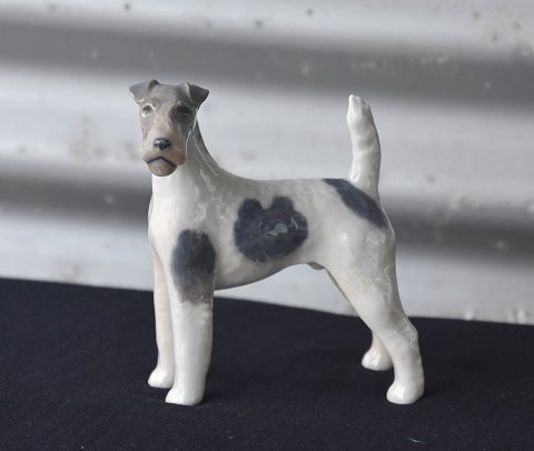 Royal Copenhagen
Ruhåret terrier