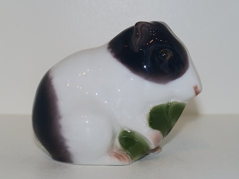 Bing & Grondahl figurine
Guinea-pig