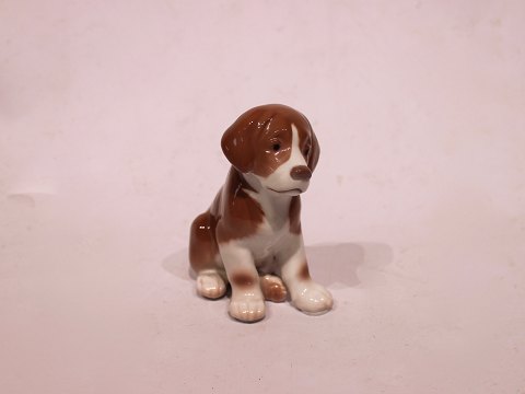 Bing og Grøndahl porcelænsfigur, hundehvalp, nr.: 1926.
5000m2 udstilling.
