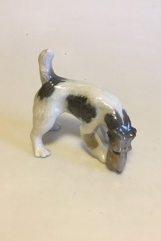 Royal Copenhagen Figur af Terrier No. 3020