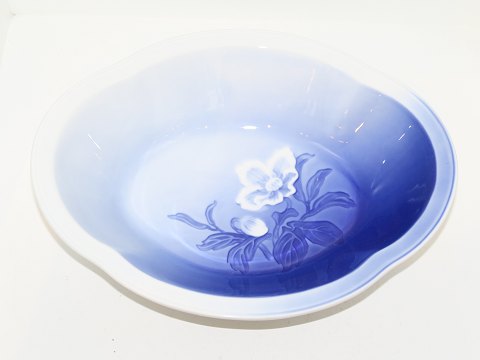 Christmas Rose
Oblong bowl