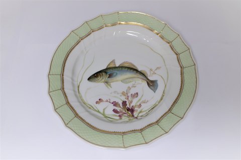 Royal Copenhagen. Fish plate with green border. Model 919/1710. Gadus merlangus