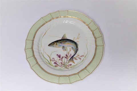 Royal Copenhagen. Fish plate with green border. Model 919/1710. Scomber scomber