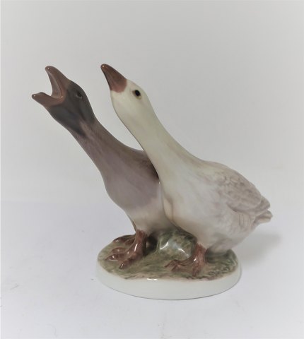 Dahl Jensen. Two geese. Model 1363. Height 10 cm. (1 quality)