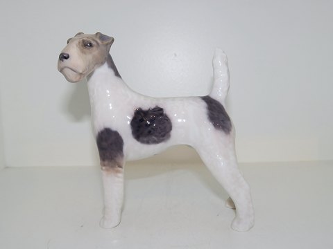 Royal Copenhagen figur
Ruhåret terrier