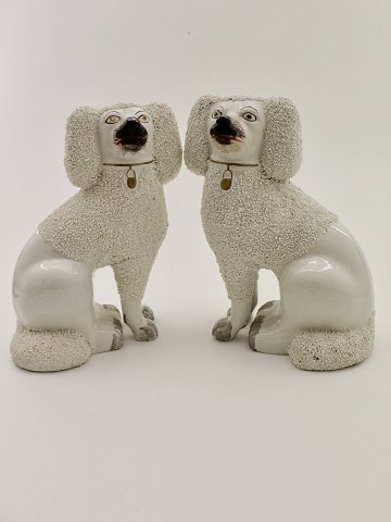 item no: 385288