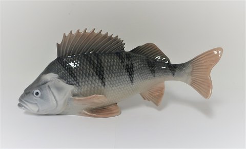 Royal Copenhagen. Perch. Model 1138. Length 19. (1 quality)