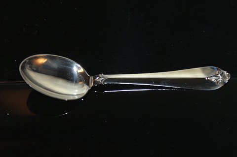 Diana Silver Dinner Spoon
Cohr