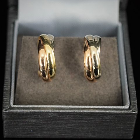 Earrings of 14k gold and white gold