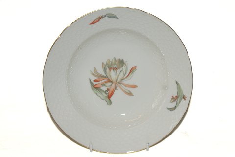 Bing and Grondahl Cactus
Deep Breakfast Plate
Bund nr 23
Diameter 21 cm