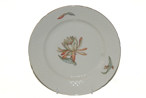 Bing and Grondahl Cactus
The dinner plate
Bund nr 25
Diameter 24 cm