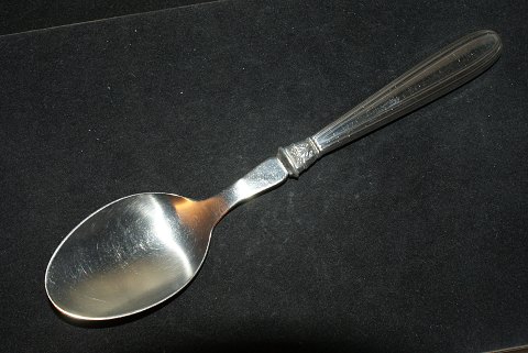 Serving spoon 
Karina Silver
