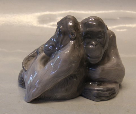 Royal Copenhagen 0721 RC Orangutans - Monkey pair 10 x 14 cm Knud Kyhn 1906 
