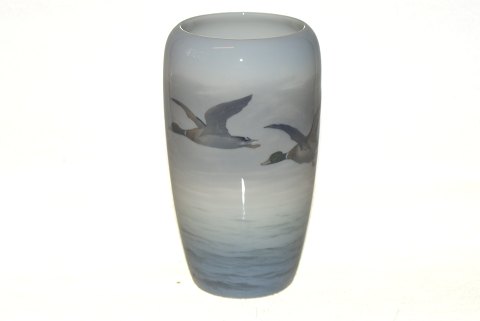 item no: 418450
