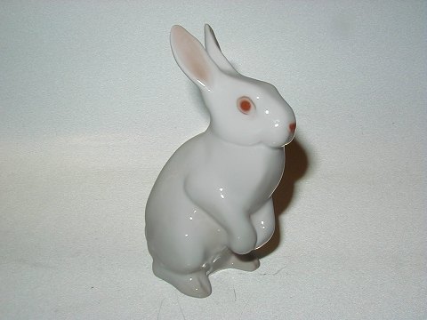 item no: 42532