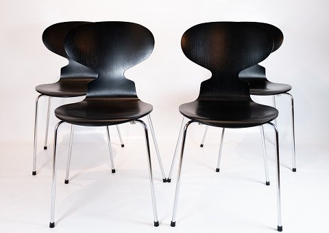 Set of Four Ant Chairs - Model 3101 - Black - Arne Jacobsen - Fritz Hansen