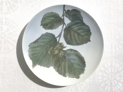 Royal Copenhagen
Platte mit Haselzweig
# 71/1120
* 600kr