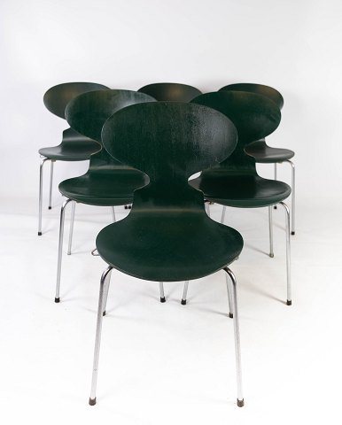 Set of five dark green Ant chairs, model 3101, designed by Arne Jacobsen in 1952 
and manufactured by Fritz Hansen.
5000m2 showroom.
